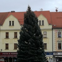 Městské služby Písek opět po roce zajistily instalaci vánočního stromu na píseckém náměstí
