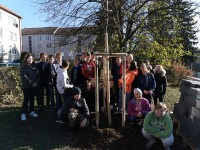 Zahradníci MS Písek sázeli stromy s dětmi ze základních škol
